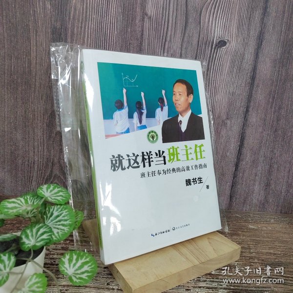 就这样当班主任（大教育书系）