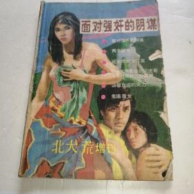 北大荒增刊2