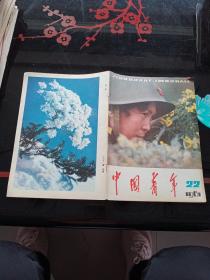 中国青年1981-22