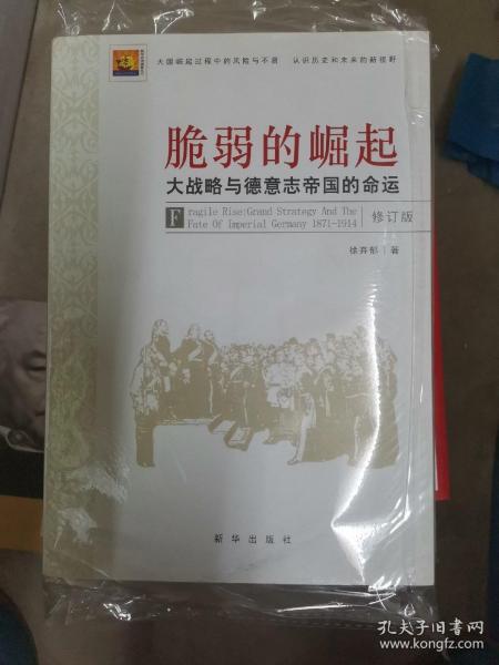 脆弱的崛起：大战略与德意志帝国的命运（小16开A单存另售220128）