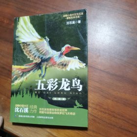 五彩龙鸟