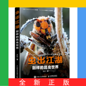 蟲出江湖別樣的昆蟲世界