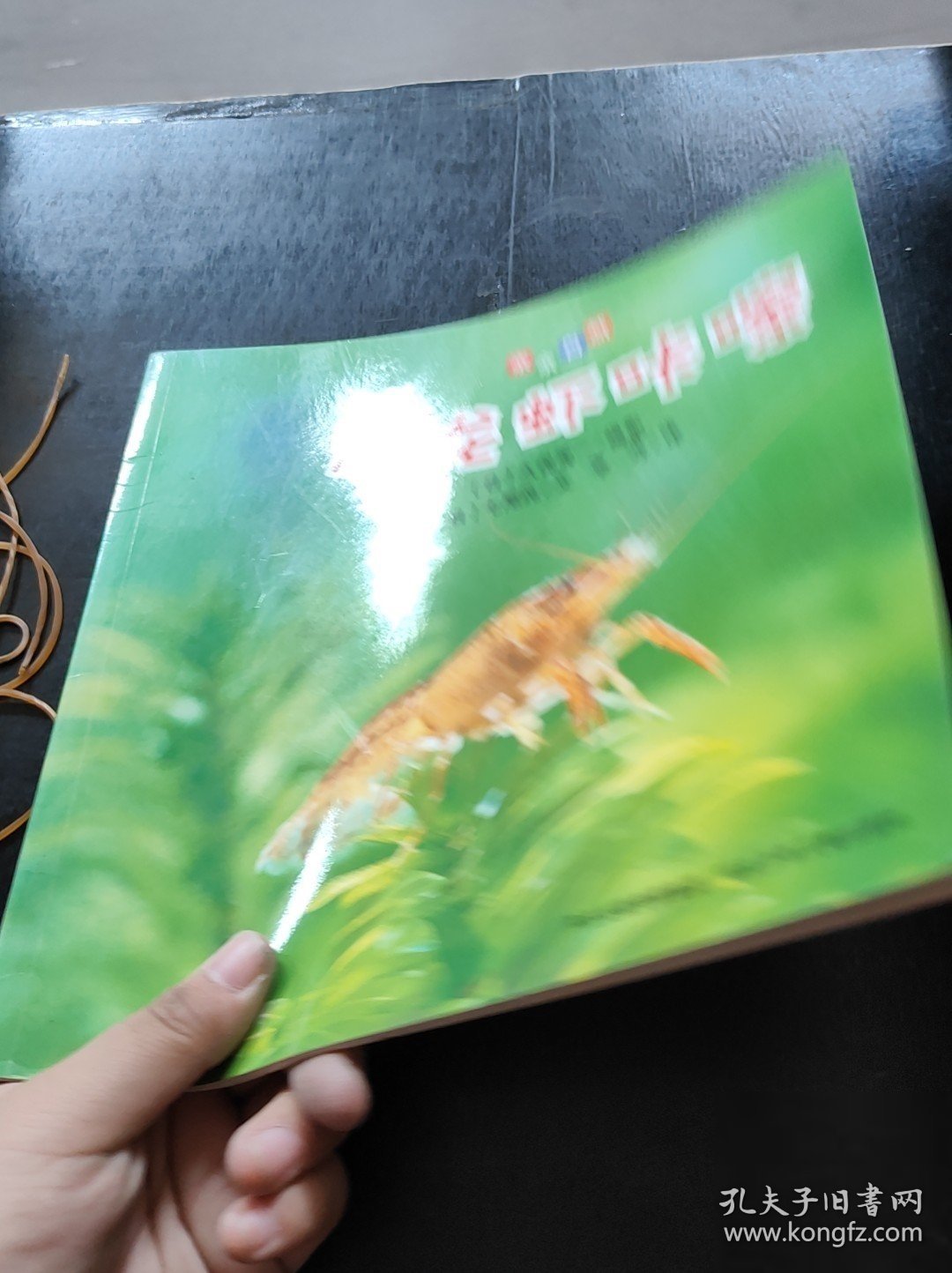 亲亲自然：小龙虾咔嚓[日]久保秀一/摄影；[日]七尾纯 /文9787537660907