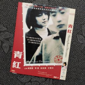 电影《青红/我十九》1DVD9 高圆圆/李滨/姚安濂/秦昊/王小帅残酷青春系列