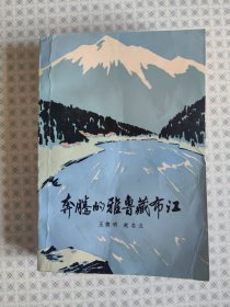 奔腾的雅鲁藏布江（红色经典文学）