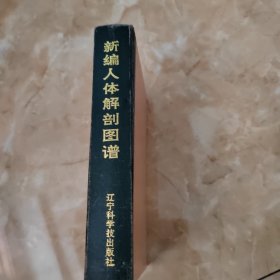 新编人体解剖图谱