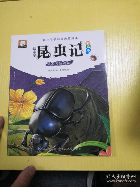 法布尔昆虫记（彩绘本）·清道夫屎壳郎