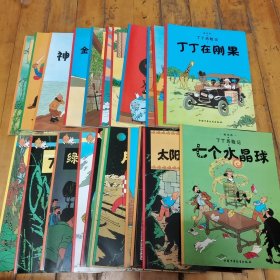 丁丁历险记(全22本)(大16K本)