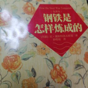 学生万有文库 钢铁是怎样炼成的