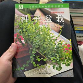 种子盆栽