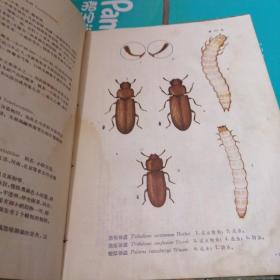 中国农作物病虫害图谱（第一集） 精装16开 农业出版社1959年一版一印