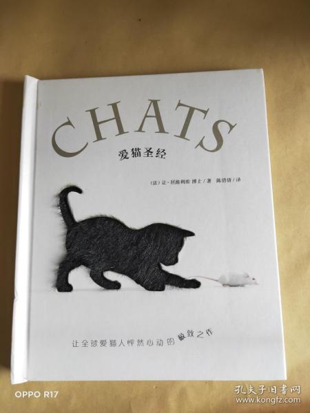 爱猫圣经