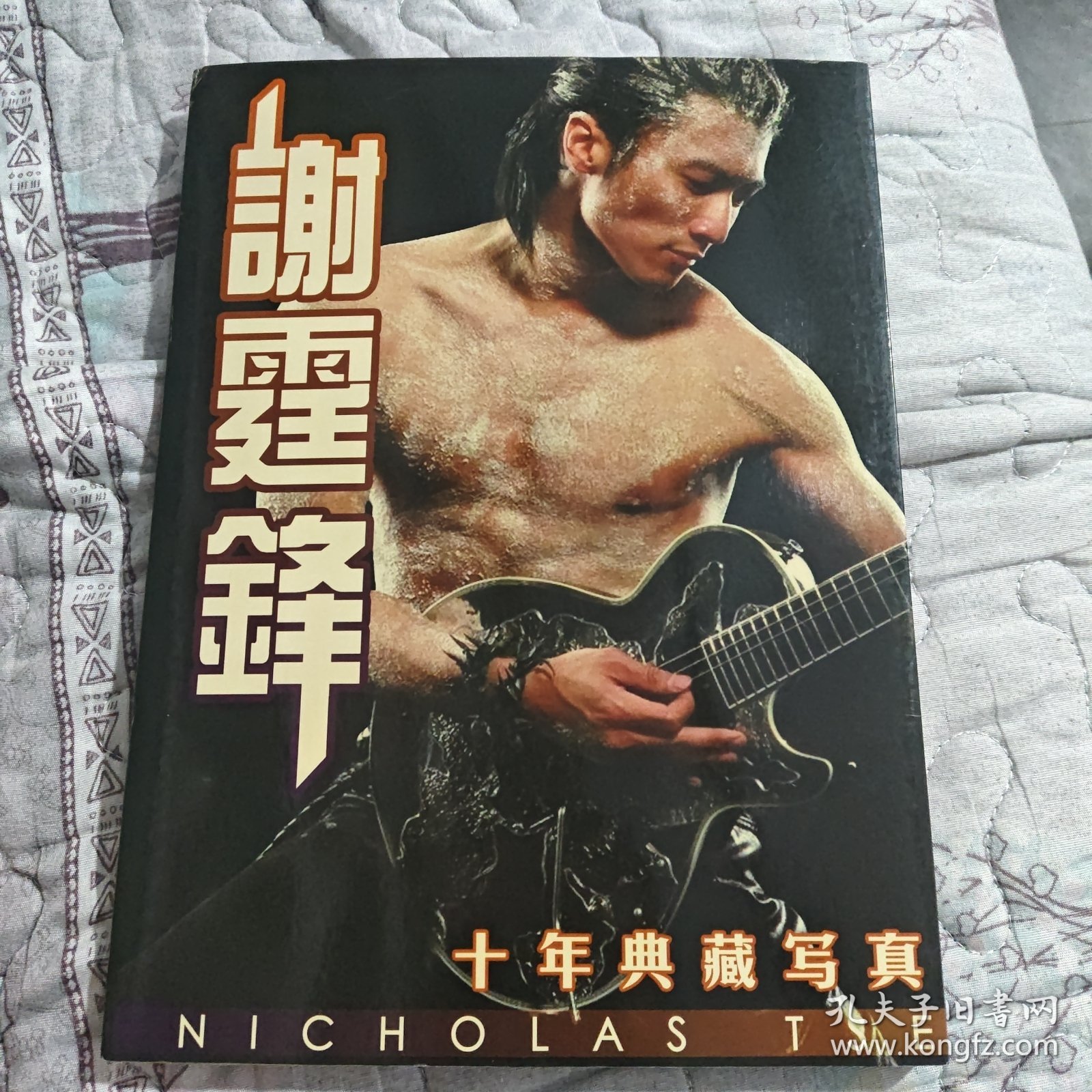 谢霆锋 十年典藏写真 有14张卡 附一张CD 大12开画册 品佳如图