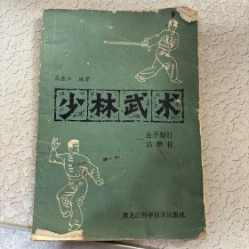 少林武术