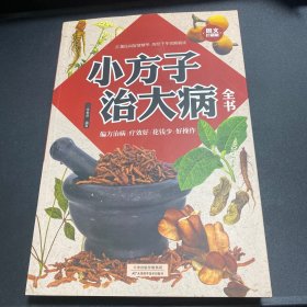 小方子治大病全书
