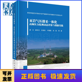 頁巖氣壓排采一體化高頻壓力監(jiān)測動態(tài)評價與創(chuàng)新實踐