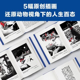 莫言的书5本套作品全集 生死疲劳+丰乳肥臀+红高粱家族+檀香刑+蛙