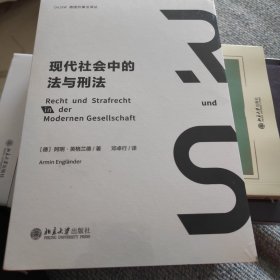 现代社会中的法与刑法 融汇法哲学与刑事法的典范之作 英格兰德教授代表作品