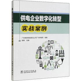 供电企业数字化转型实战案例