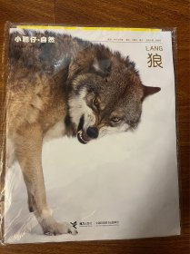 小聪仔自然 狼