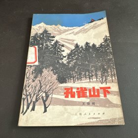孔雀山下