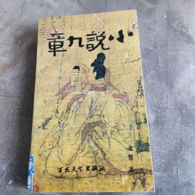 小说九章