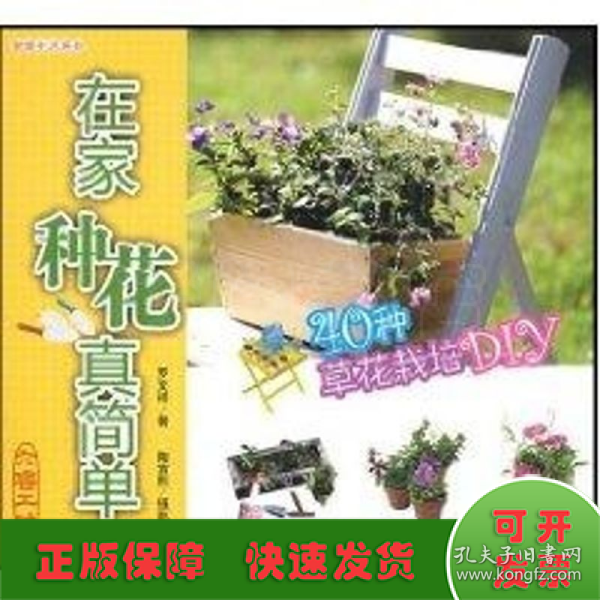 在家种花真简单