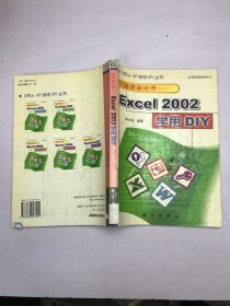 電子會(huì)計(jì)師:Excel 2002學(xué)用DIY