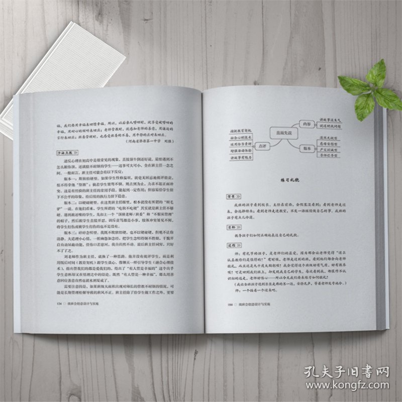 微班会创意设计与实施/大夏书系