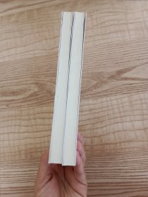 中国关键词：治国理政篇 上下