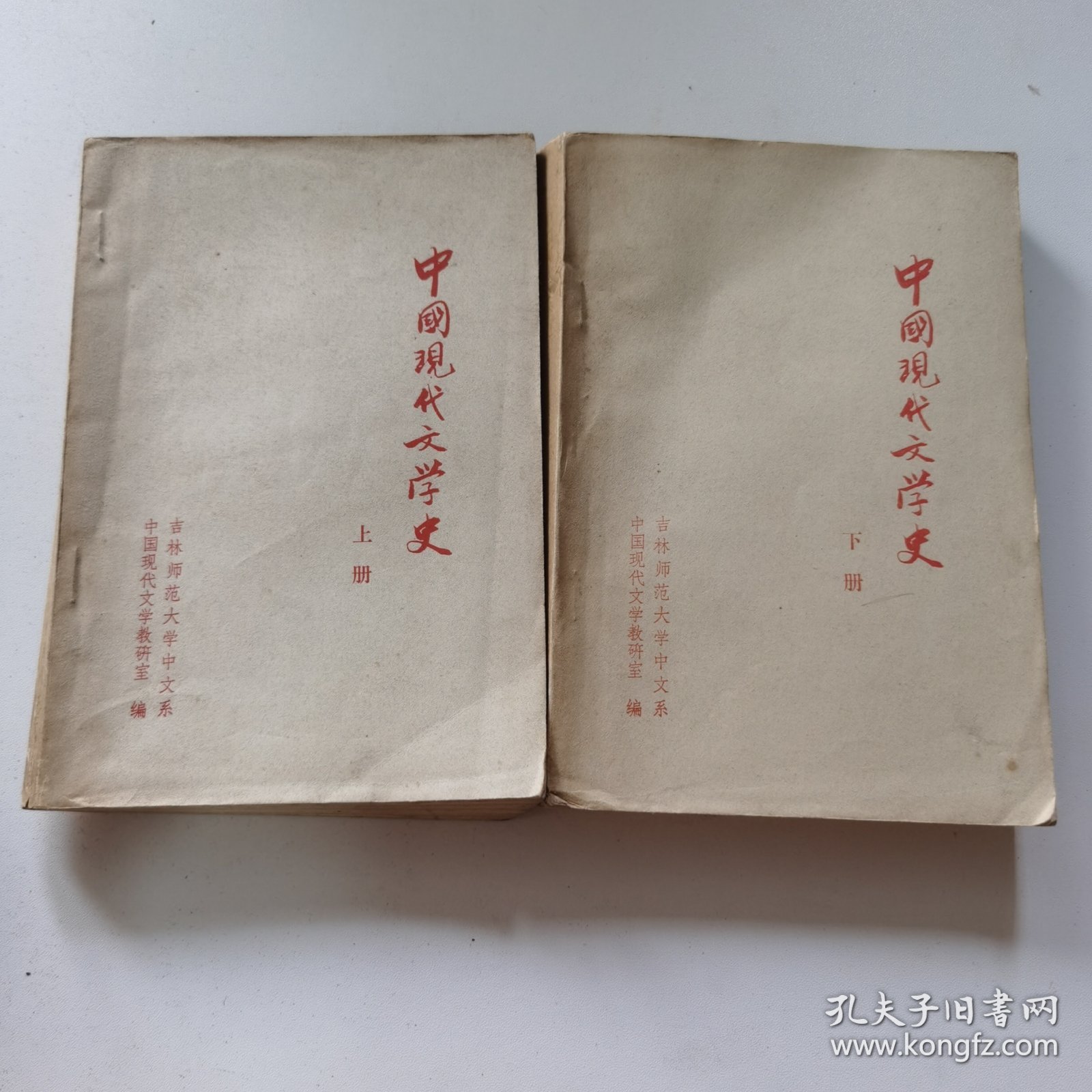中国现代文学史（上下册）