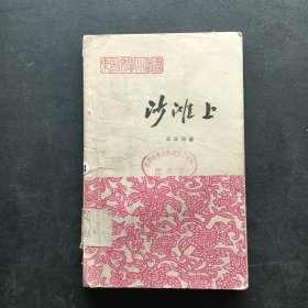 沙滩上