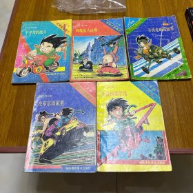 七龙珠：武林大会卷全五册