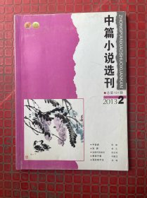 中篇小说选刊 2013 2