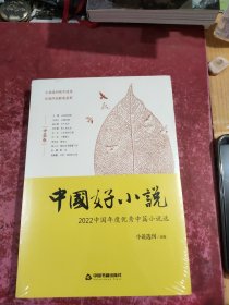 中国好小说·中篇卷:2022 中国年度优秀中篇小说选