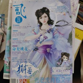 飞魔幻2010 05B