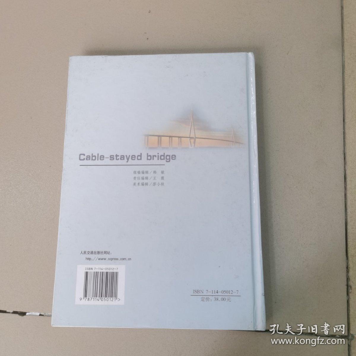 斜拉桥（第1版）