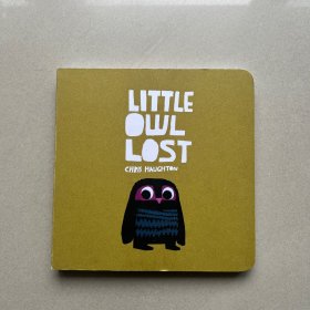 Little Owl Lost