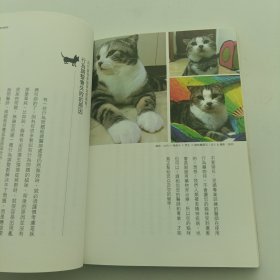 猫咪这样教，主人好快乐