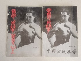 意拳养生 + 意拳 中国实战拳学