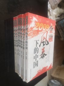 2009金融风暴下的中国