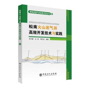 松南火山岩气田高效开发技术与实践 9787511451590 石兴春 元涛 李江龙 编著 中国石化出版社