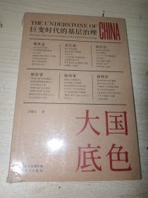 大国底色：巨变时代的基层治理 全新未拆封 正版实物图现货