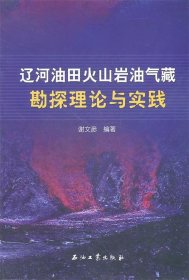 【正版书籍】辽河油田火山岩油气藏勘探理论与实践