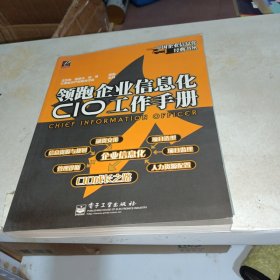 领跑企业信息化CIO工作手册