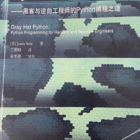 Python灰帽子：黑客与逆向工程师的Python编程之道