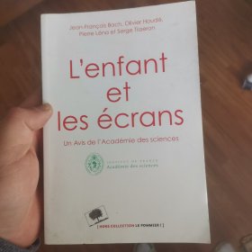 法文？心理学书籍 屏幕对少年的影响 l enfant et les ecrans