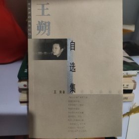 王朔自选集