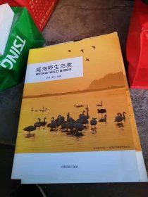 威海野生鸟类