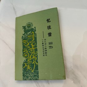 忆往昔:一个彝族土司的自述 精装